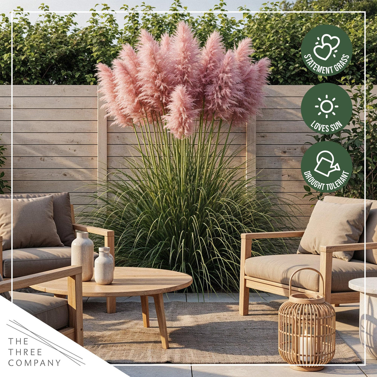 The Three Company pampas grass can attract birds and other wildlife.