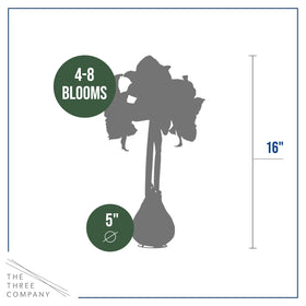 The Three Company bloom detail, trumpet-shaped white blooms, vivid red wax.