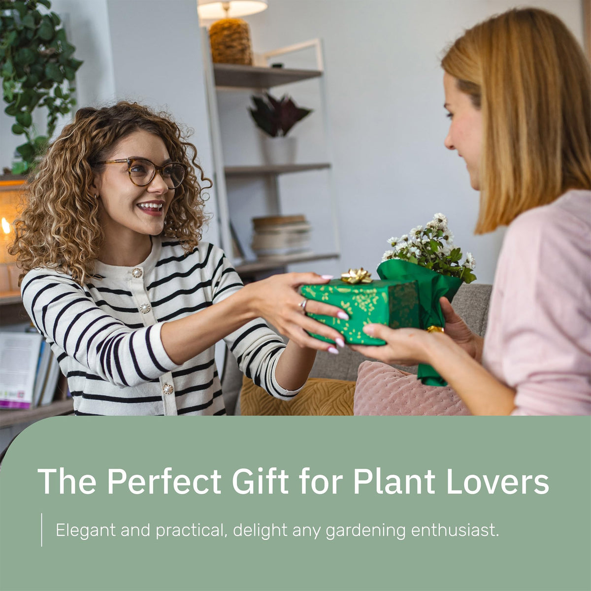 The Useful Co. Glass Plant Mister offers a clear-glass style for a sleek, modern look.