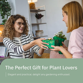The Useful Co. Glass Plant Mister offers a clear-glass style for a sleek, modern look.