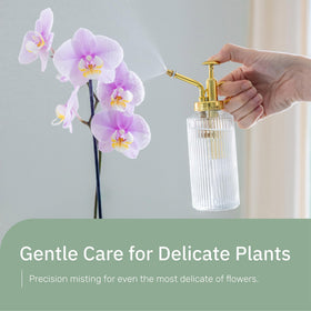 The Useful Co. Glass Plant Mister showcases a decorative design that fits home decor while misting.