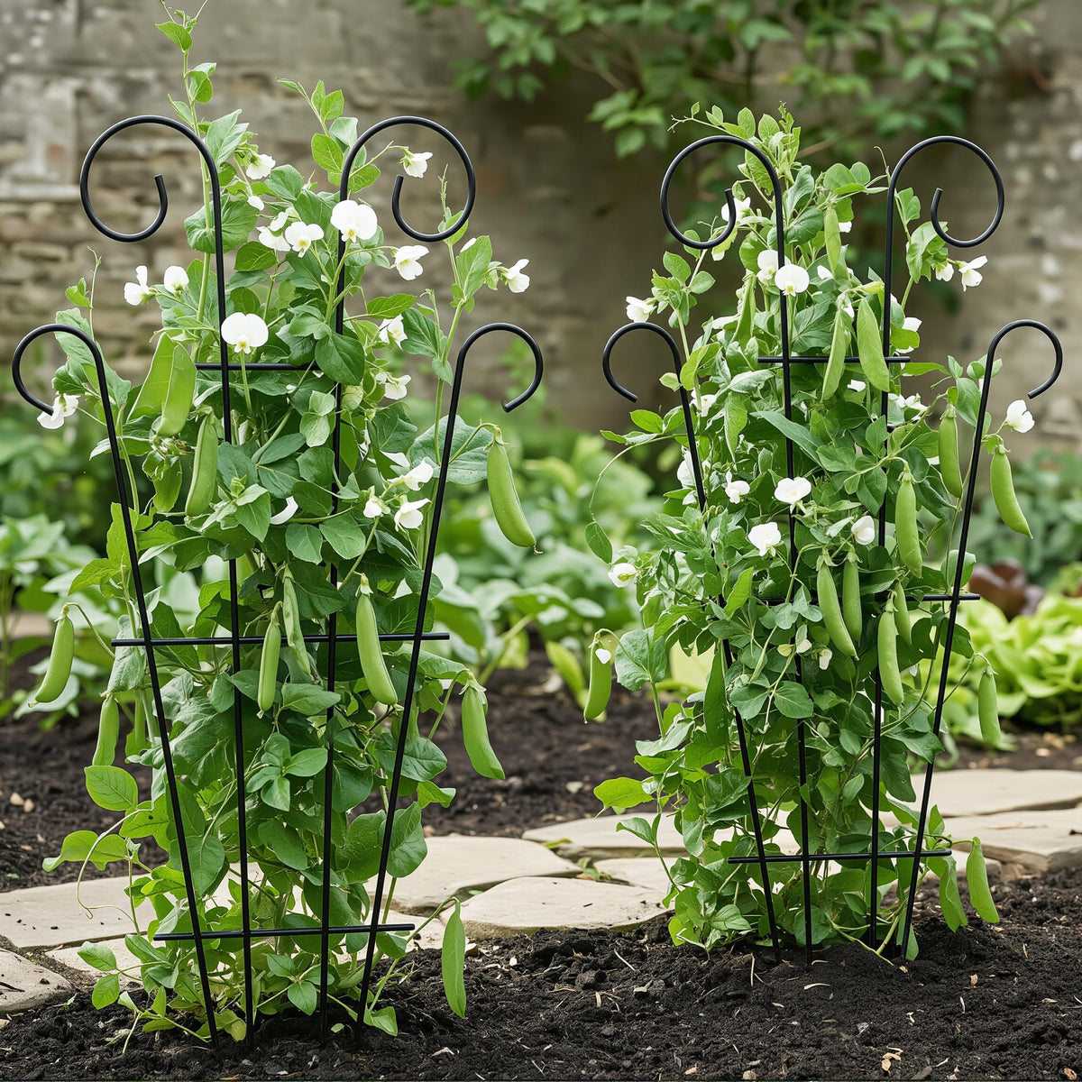 Thealyn 23in trellis for compact potted plants