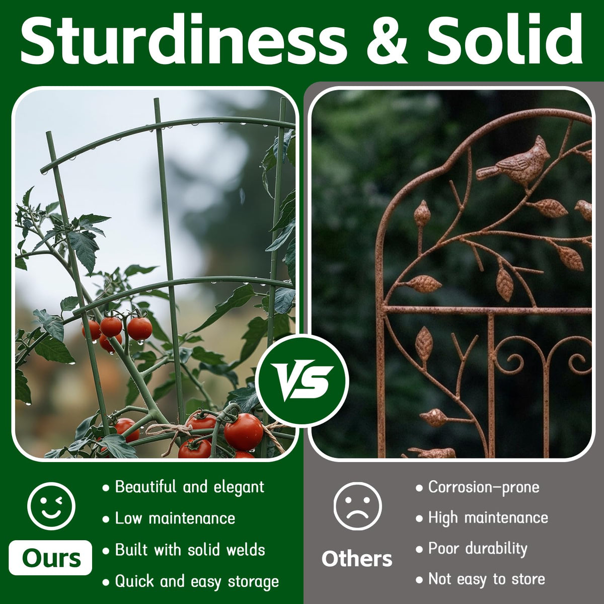Fan-shaped Thealyn trellis adds decorative height to indoor or outdoor plant displays.
