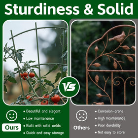 Fan-shaped Thealyn trellis adds decorative height to indoor or outdoor plant displays.