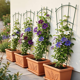 Thealyn 4-pack trellis ideal for indoor gardens and patios supporting ivy, clematis, or roses.