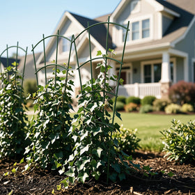 Outdoor garden use with Thealyn trellis resists rust for years of climbing plants.
