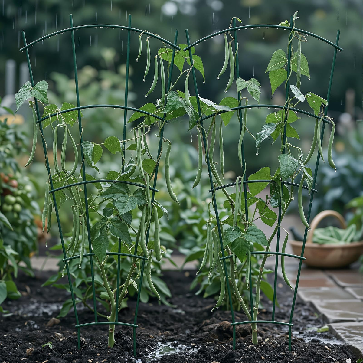 Thealyn trellis enhances landscapes and plant displays while keeping stems organized.