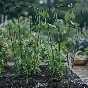 Thealyn trellis enhances landscapes and plant displays while keeping stems organized.