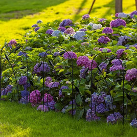 Thealyn black fence border in outdoor scene blends with greenery.