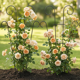 Thealyn climbing-plants trellis ideal for ivy, jasmine, and mandevilla