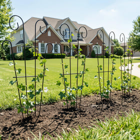 Thealyn container-garden trellis blends with pots while supporting climbers