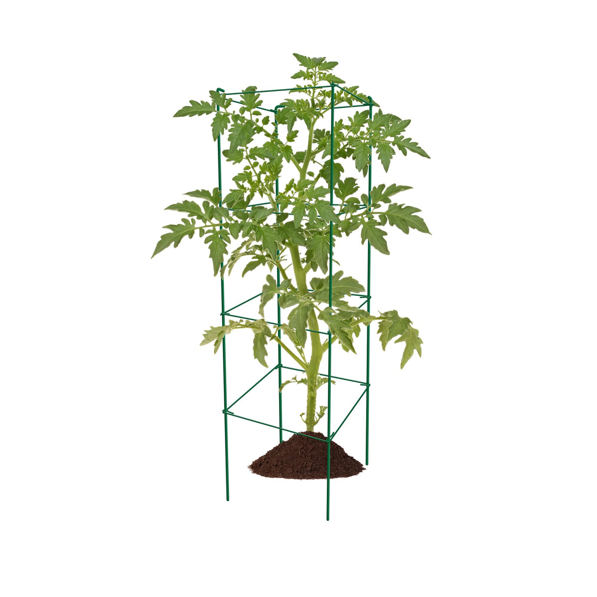 Thealyn connect-more-sets allow flexible garden layouts.