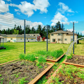 Deer barrier from Thealyn guarding a vegetable garden