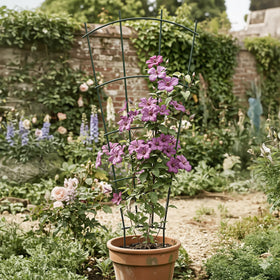 Thealyn easy installation shows freestanding legs pushed into soil for instant stability.