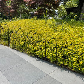 Thealyn fence border packaged folded highlights efficient shipping and easy inspection.