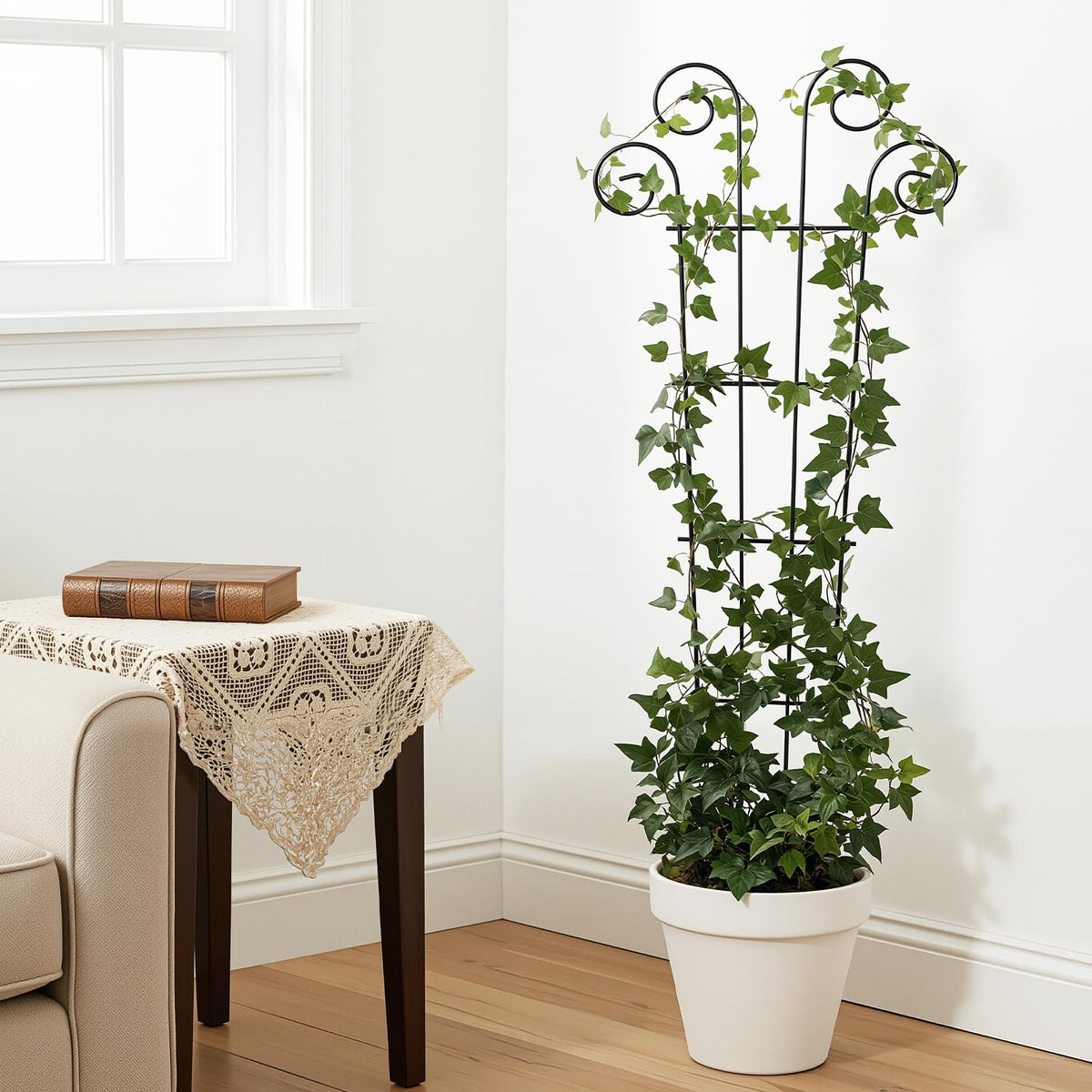 Mandevilla and other climbers can climb Thealyn's 56-inch frame.