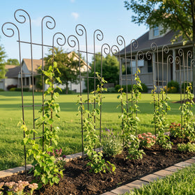 Thealyn trellis fits large pots for taller plant displays.