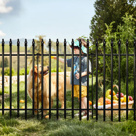 Thealyn metal garden fence panel assembly creates a long garden border.