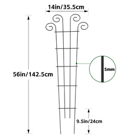 Ideal for entryway planters and terraces seeking vertical structure.