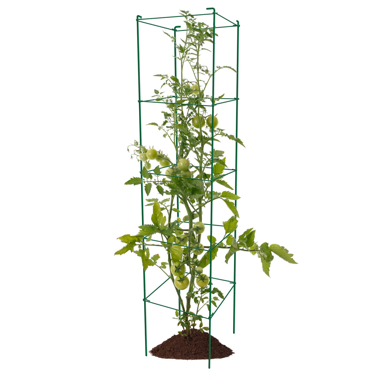 Thealyn tomato cages stored flat for off-season convenience.