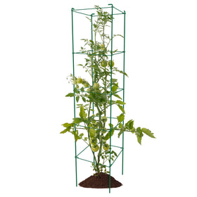 Thealyn tomato cages stored flat for off-season convenience.