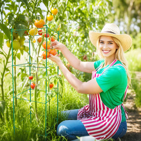 Thealyn tomato cages used with cucumber for sturdy support.
