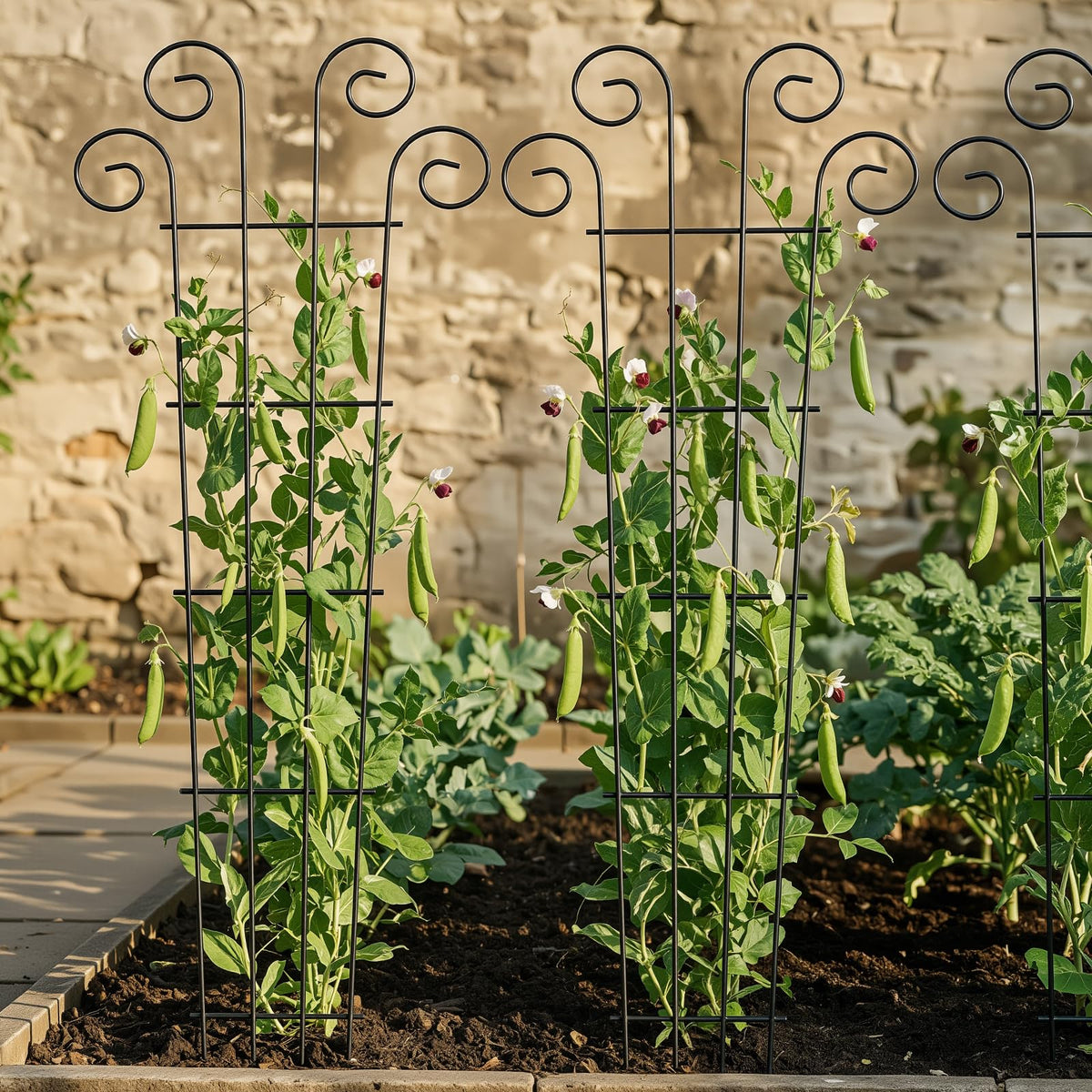 Vertical support with a stylish wave adds dimension to pots.