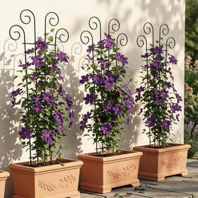 Wave-shaped Thealyn trellis adds decorative height for climbing plants.