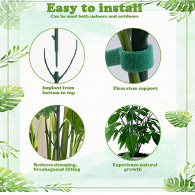 Theifofoxone bendable moss pole guides vines into shapes for eye-catching displays