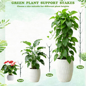 Theifofoxone coir moss pole mimics a natural trunk to encourage aerial roots