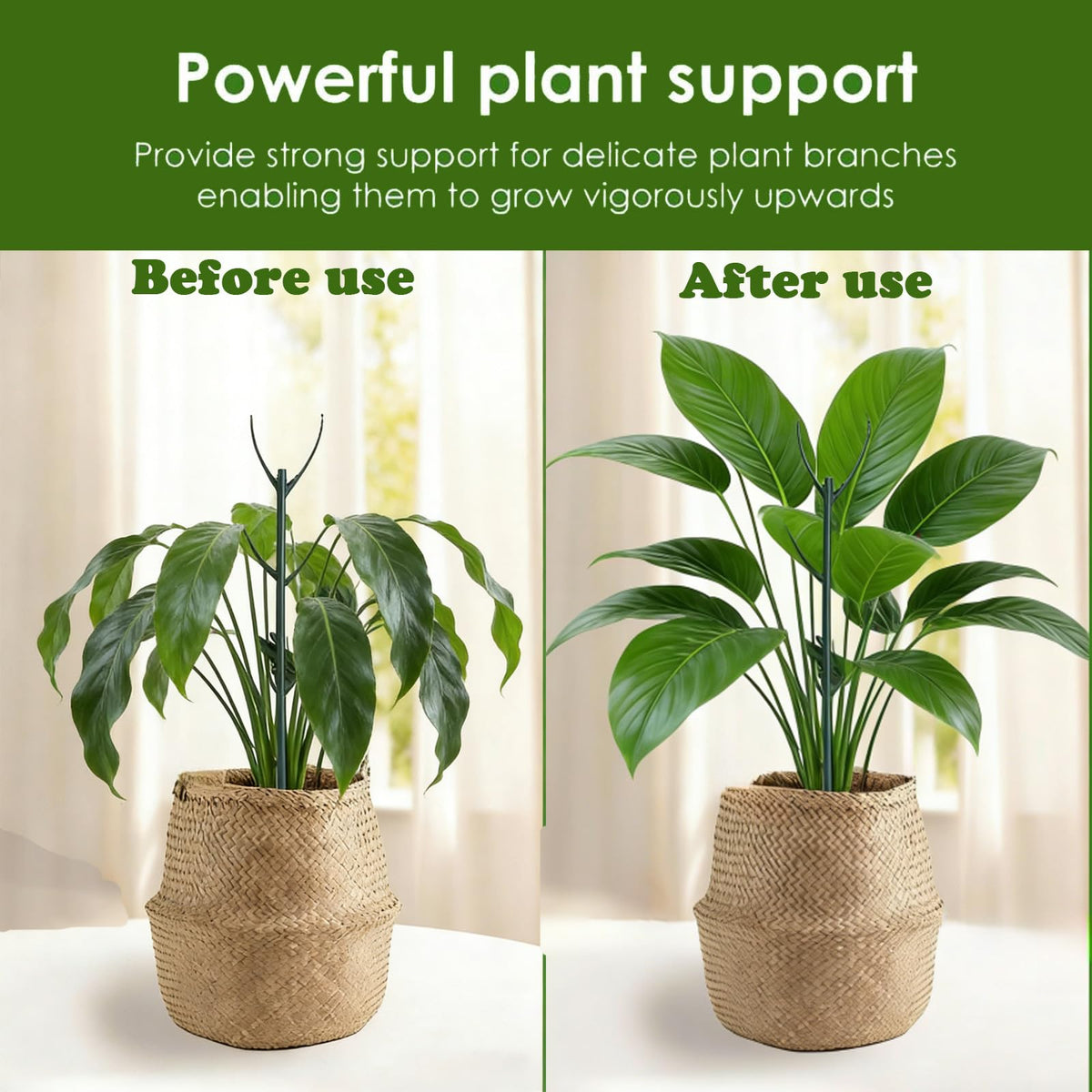Theifofoxone monstera support stakes keep stems stable for steady growth