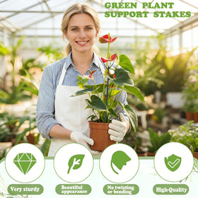 Theifofoxone plant stakes kit includes Velcro ties for secure, gentle attachment