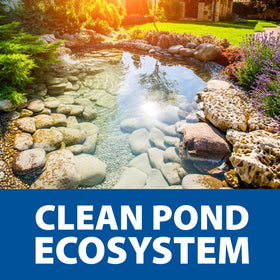 Eco-friendly, fish-safe packaging of The Pond Guy Seasonal Defense.