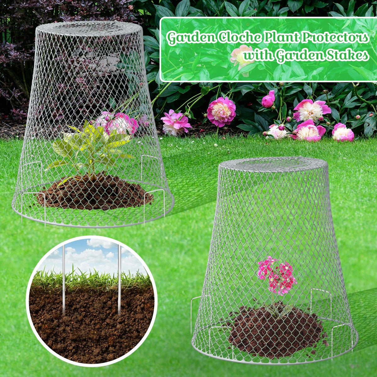 Therwen indoor potted plants stay safe from pets.