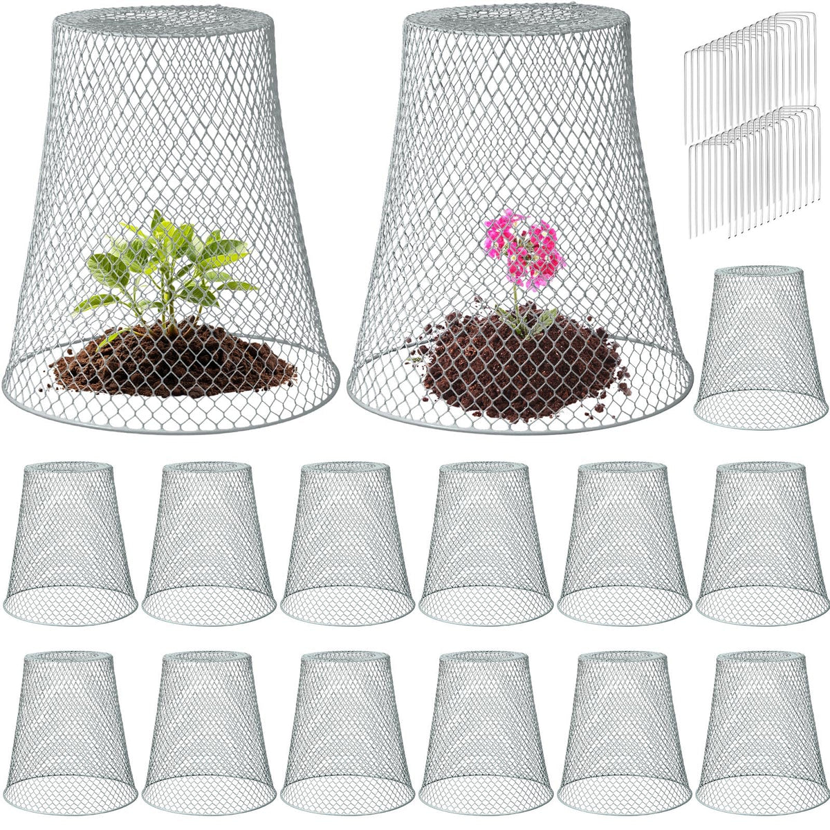 Therwen plant cloche assembly in silver protects seedlings outdoors.