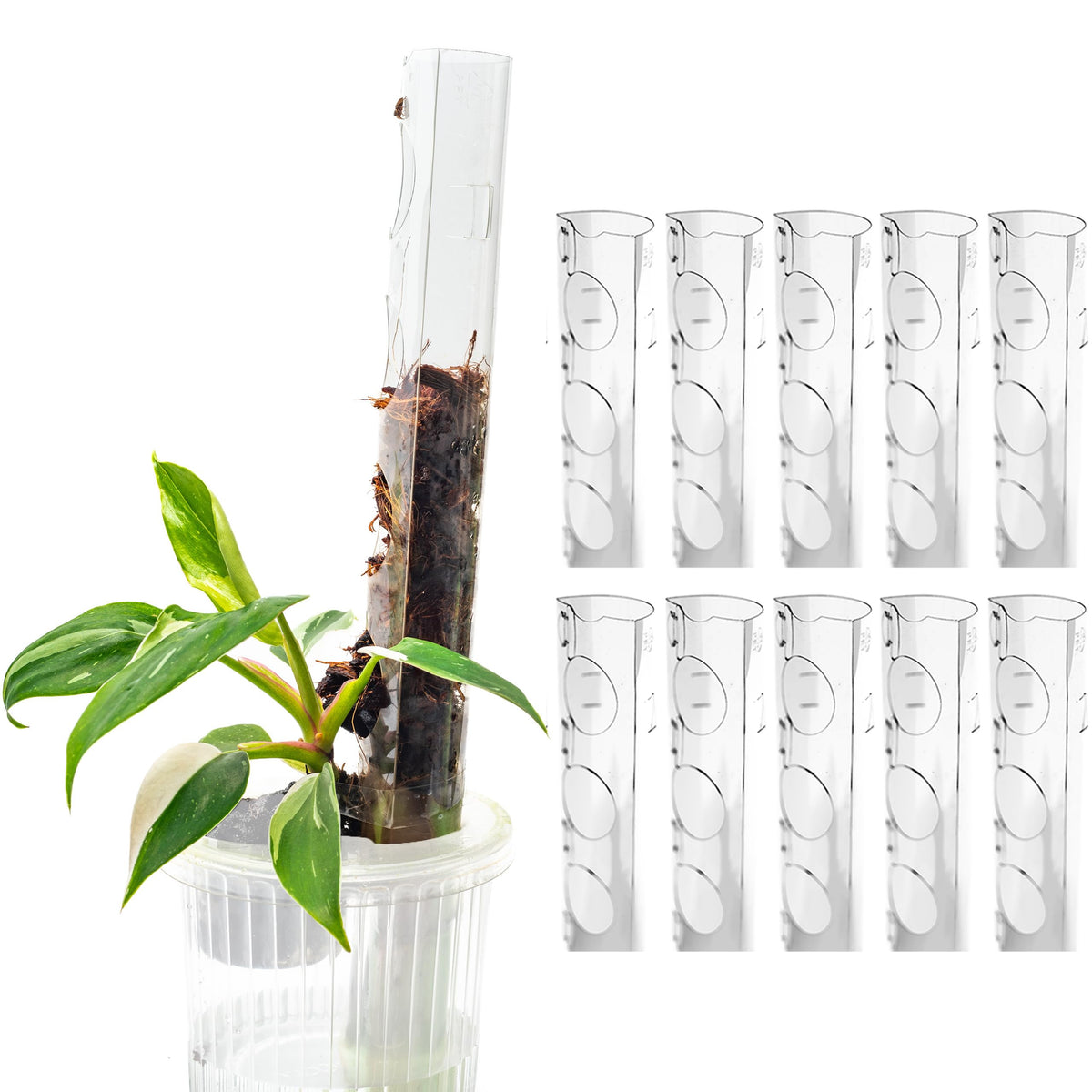 THICCLY GrowPole small front-opening D-shaped moss pole supports Monstera climbing plants for vertical growth