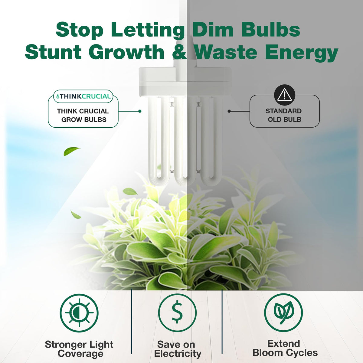 Think Crucial compatible with AeroGarden models including Chef in a Box Elite