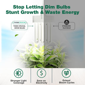 Think Crucial compatible with AeroGarden models including Chef in a Box Elite