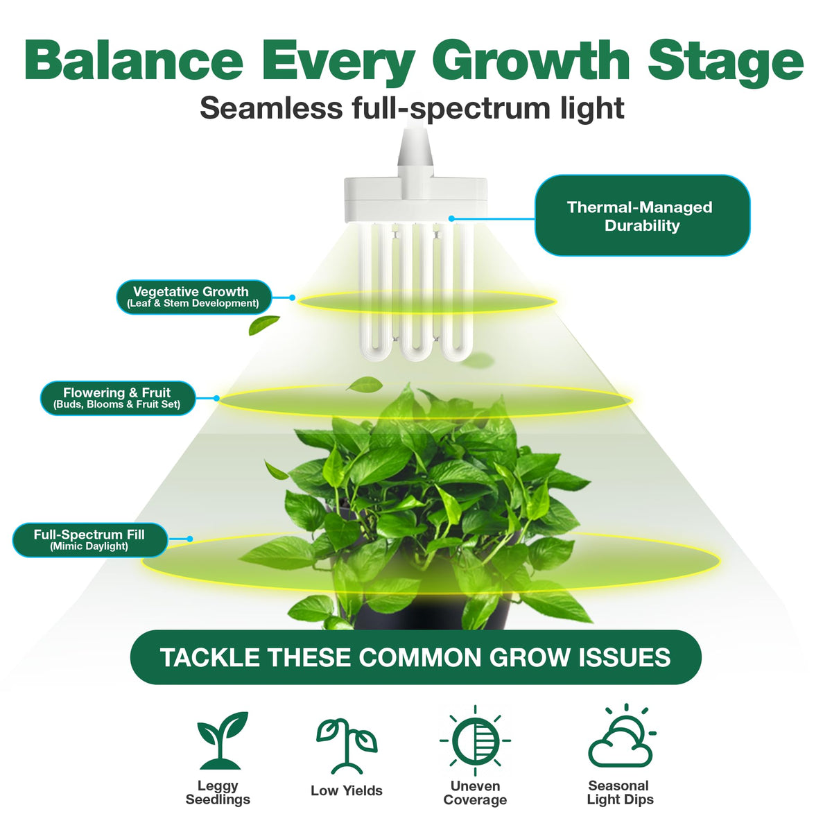 Think Crucial easy-install grow bulbs fit seamlessly in AeroGarden fixtures
