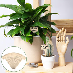 Thinp eco-friendly stakes simplify plant care and labeling.