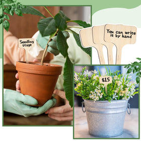 Thinp natural-wood garden tags endure outdoor use without plastics.