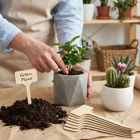 Thinp seedling labels ideal for vegetables and flowers in pots.