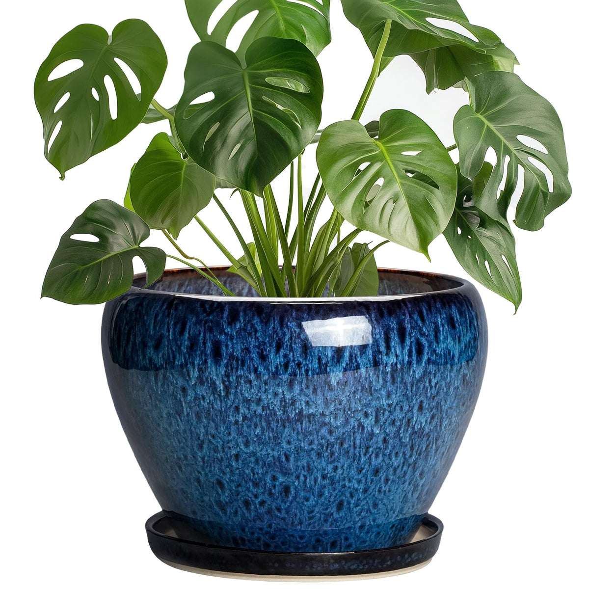 Thirtypot blue glaze 8-inch plant pot for stylish indoor plant display.