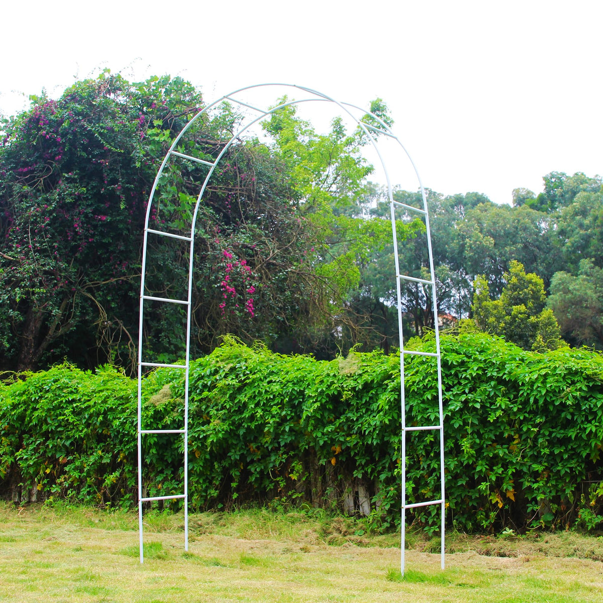 THORISE pergola arch assembly guide for quick setup and stable placement.