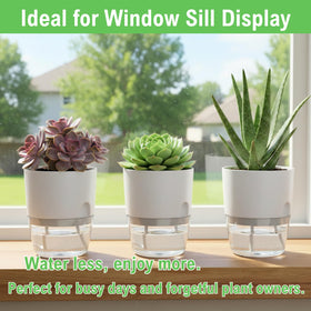 Thorkok compact 3.2-inch planter suited for succulents or herbs.