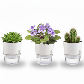 Thorkok self-watering planter with 3.2-inch opening for easy plant hydration.