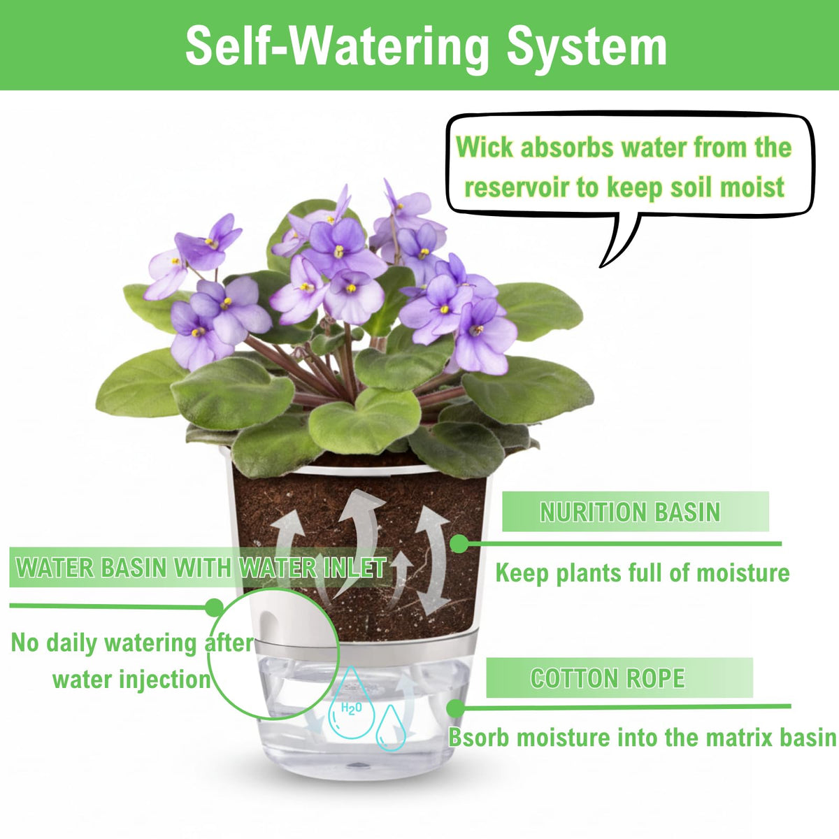 Thorkok windowsill display planter keeps herbs and violets in easy view.