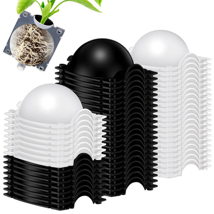 Threehoney air-layering pod with half-black half-transparent design for visible rooting progress