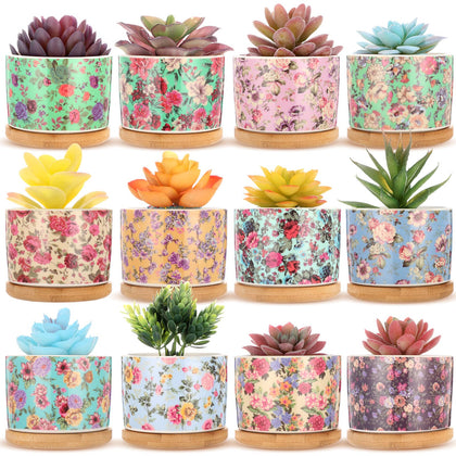 Threehoney ceramic succulent pot with drainage holes for healthy watering.