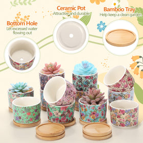 Threehoney multicolor ceramic pot emphasizes vibrant display for succulents and small flowers.